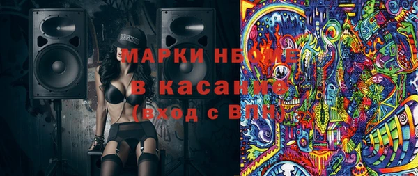 индика Абинск
