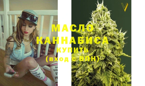 индика Абинск