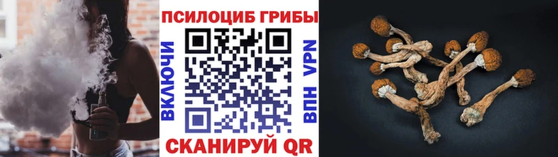 Галлюциногенные грибы Psilocybine cubensis  Чухлома 